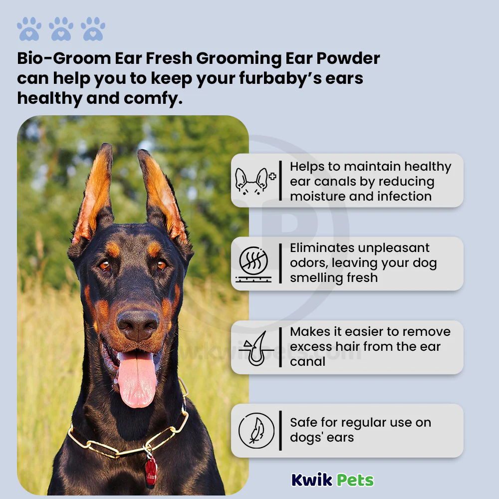 Bio-Groom Ear Fresh Grooming Ear Powder for Dogs 24g - Image 5
