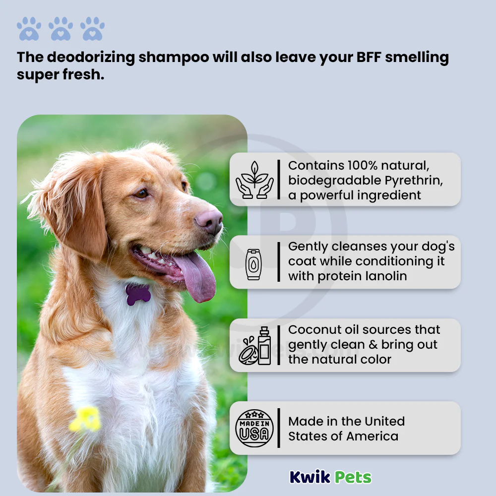 Bio-Groom Flea & Tick Dog Shampoo 32-oz - Image 2