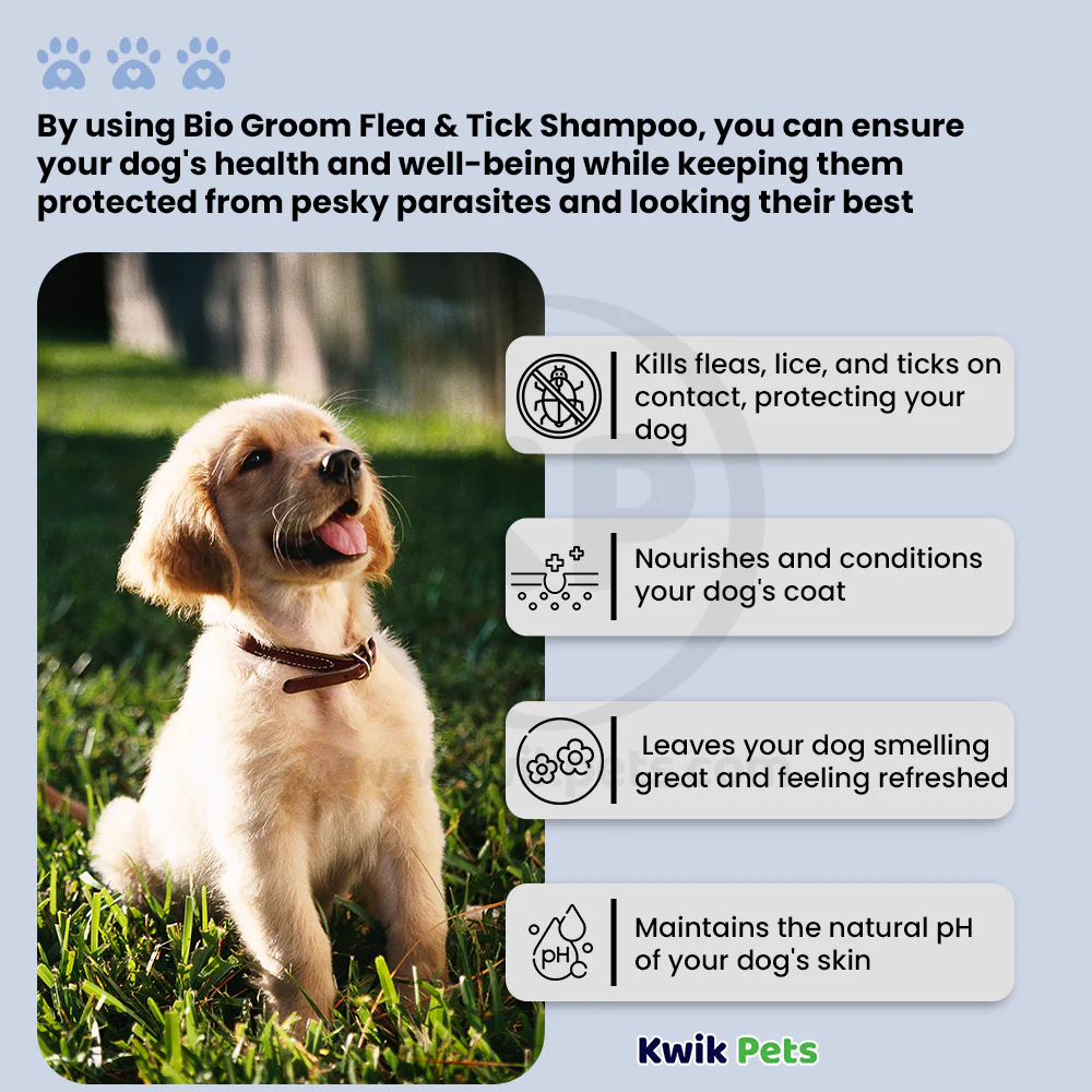 Bio-Groom Flea & Tick Dog Shampoo 12-oz - Image 3