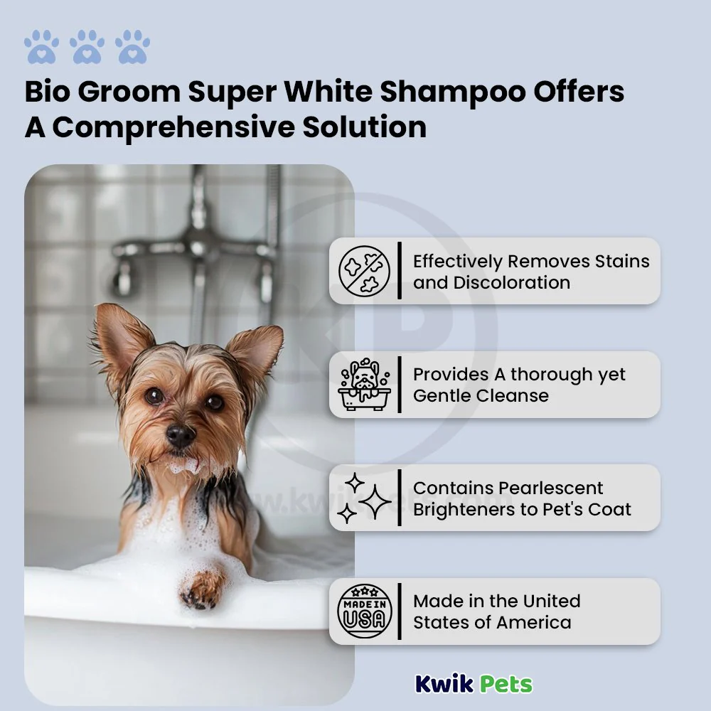 Bio-Groom Super White Shampoo 1 gal - Image 4