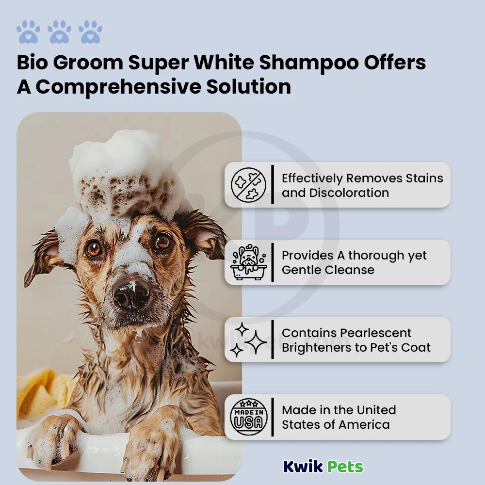 Bio-Groom Super White Shampoo for Dogs 12-oz - Image 4