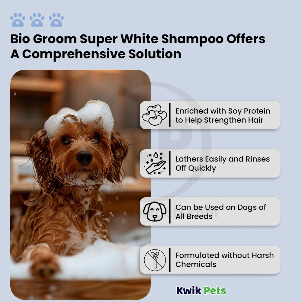 Bio-Groom Super White Shampoo for Dogs 12-oz - Image 5
