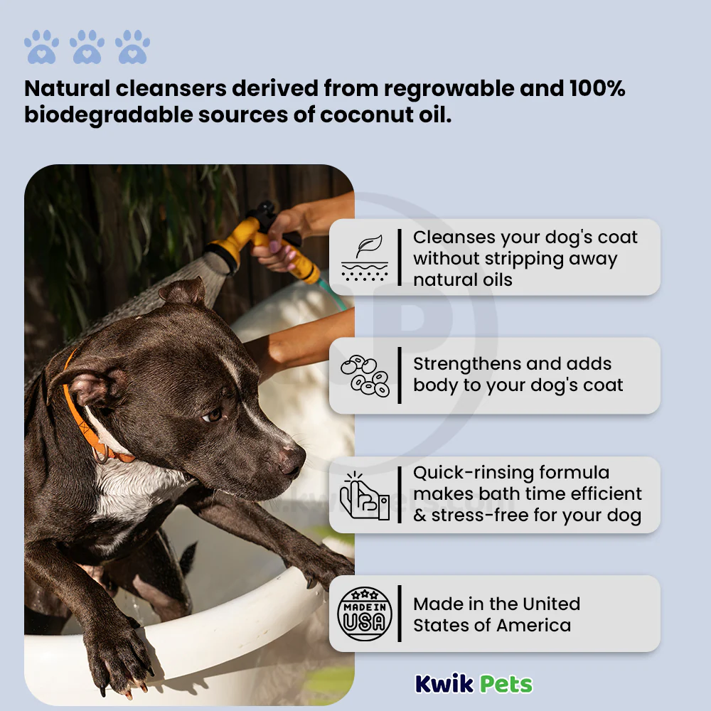 Bio-Groom Ultra Black Color Enhancing Dog Shampoo 12-oz - Image 2