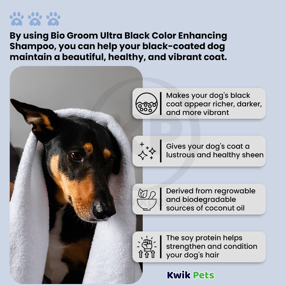 Bio-Groom Ultra Black Color Enhancing Dog Shampoo 12-oz - Image 3