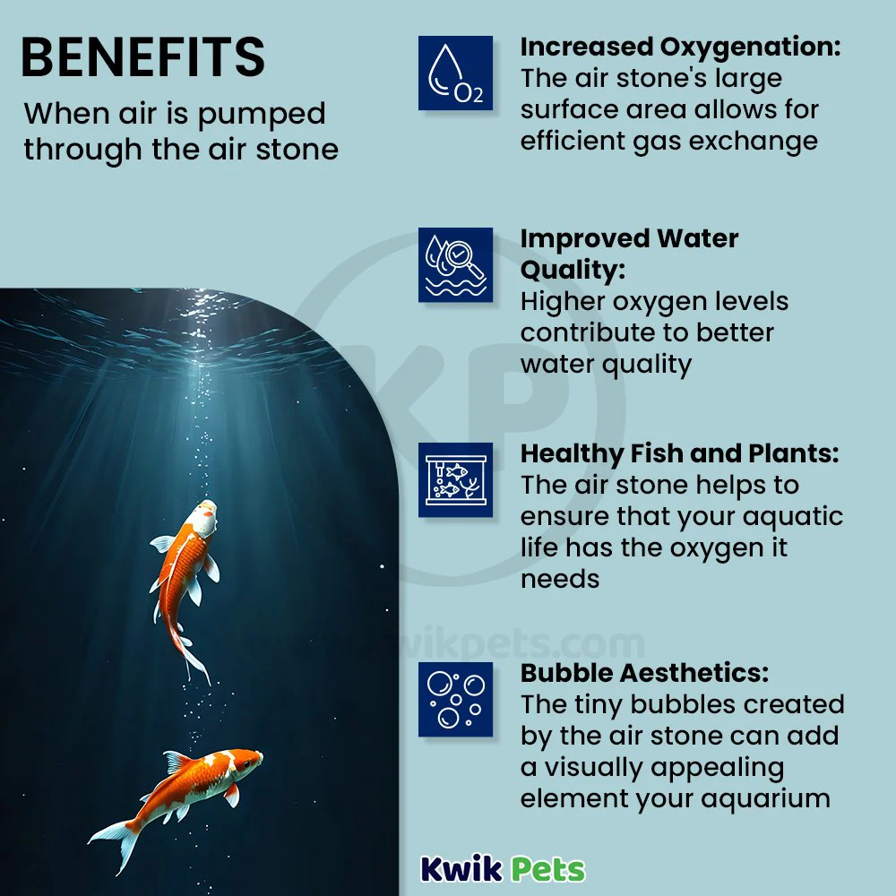 biOrb Air Stone for Aquarium Aeration - Image 4