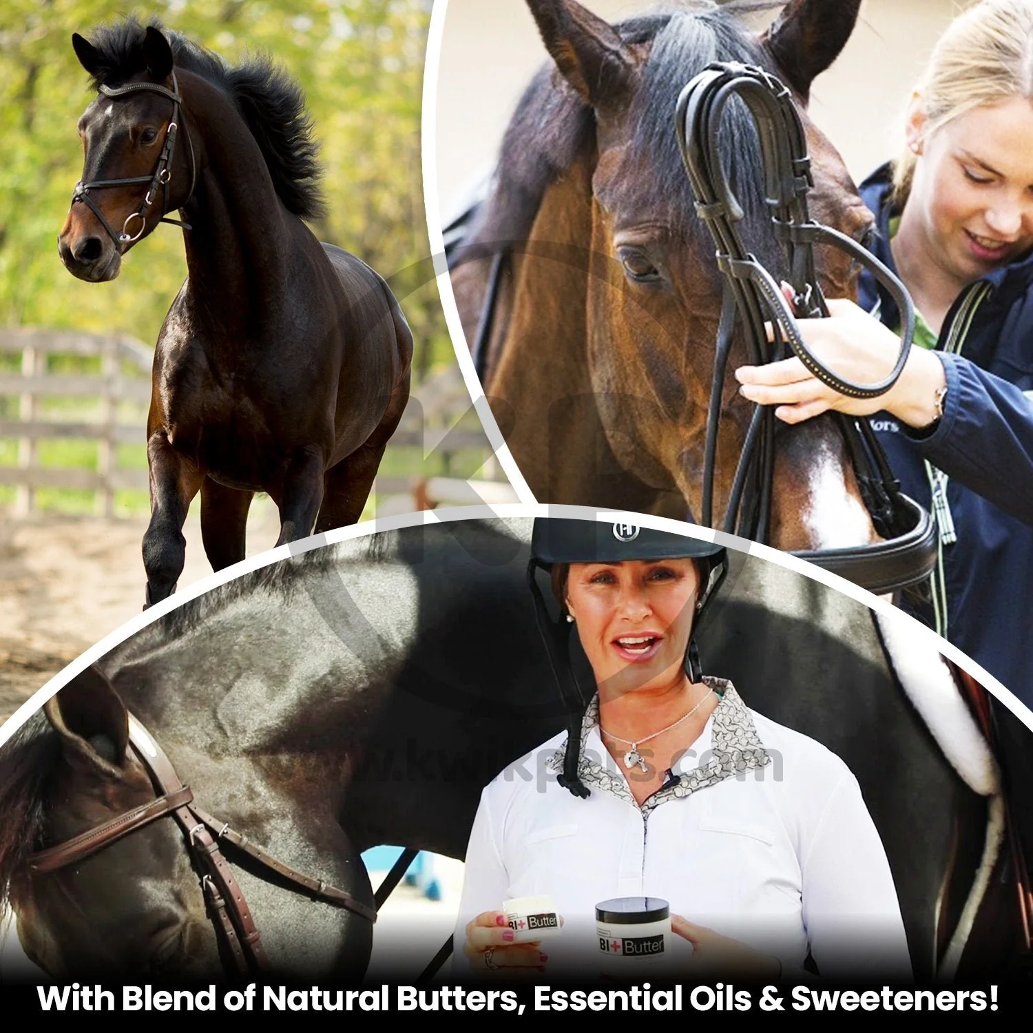 Equine Healthcare International The Original Bit Butter Mouth Softening Complex 4-oz - Image 4
