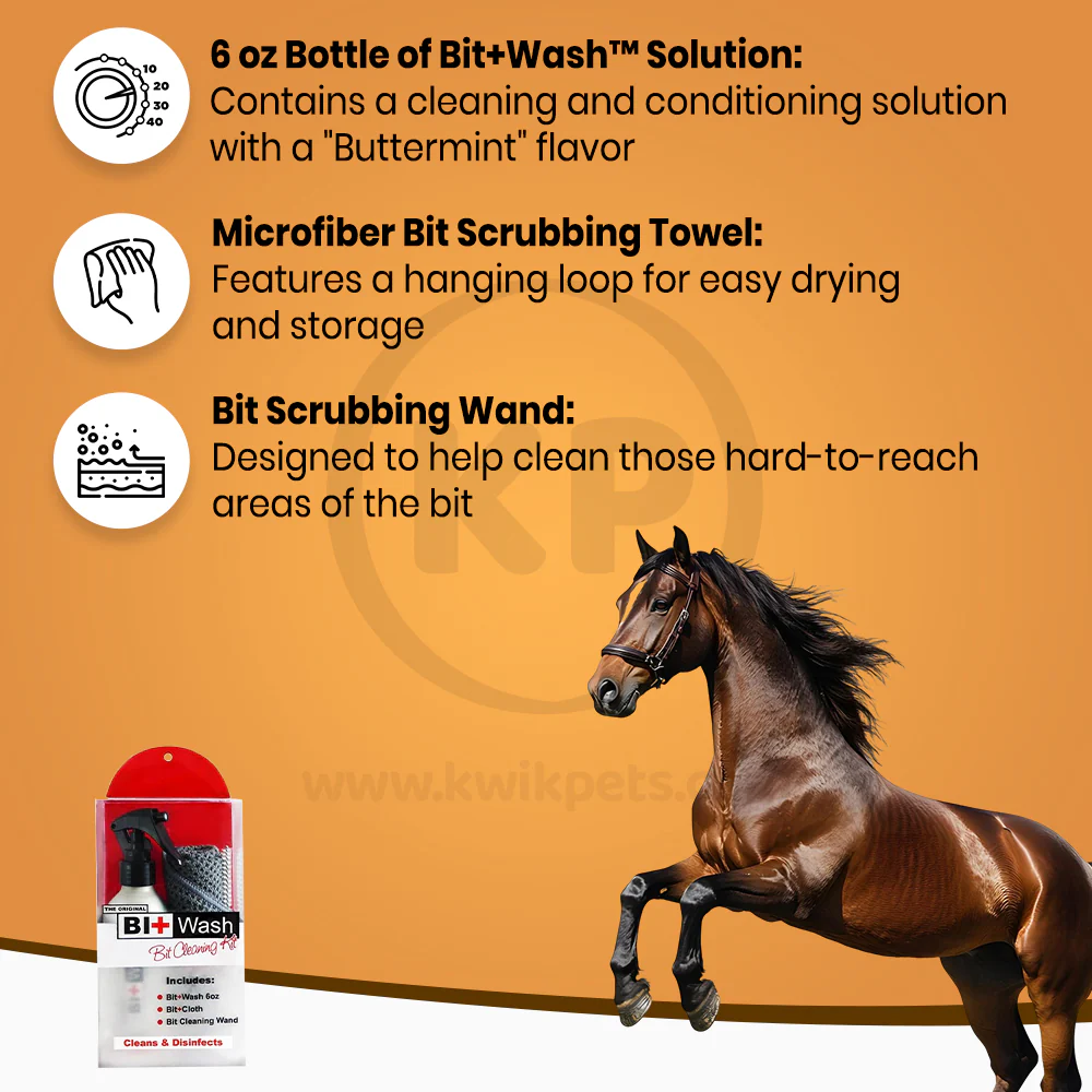 Equine Healthcare International The Original Bit + Wash Kit 6-oz - Image 2