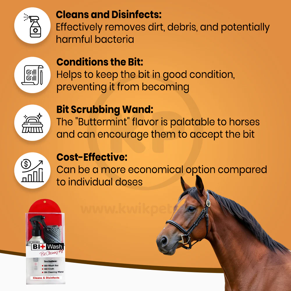 Equine Healthcare International The Original Bit + Wash Kit 6-oz - Image 3