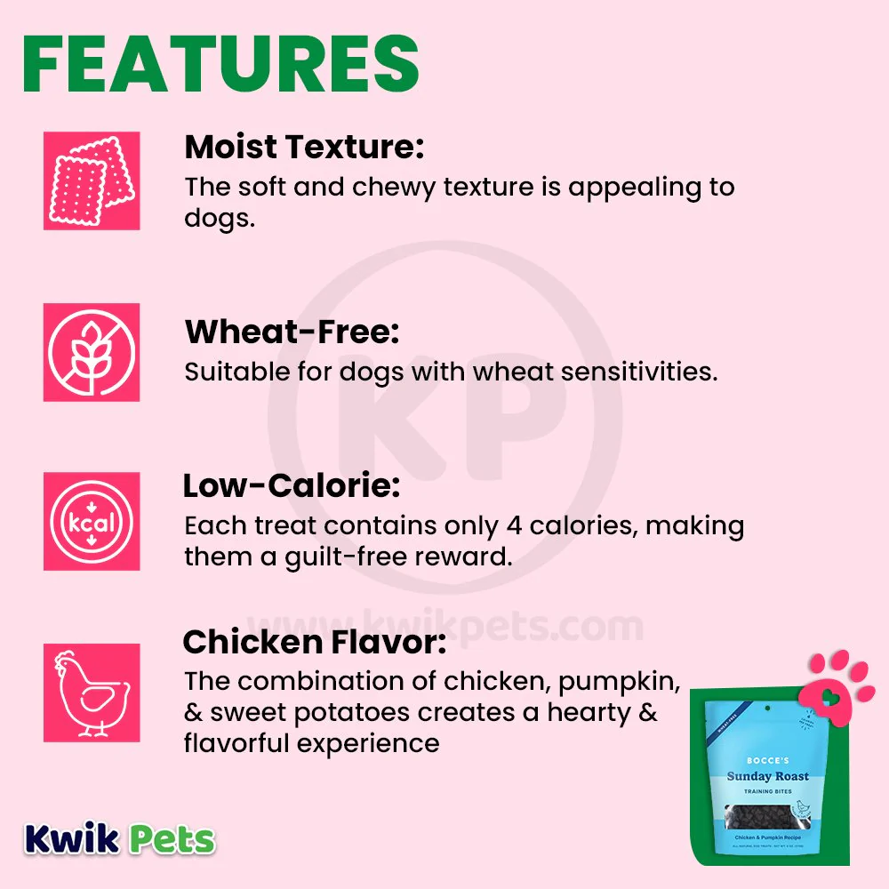 Bocce's Bakery Sunday Roast Training Bites Dog Treats Chicken & Pumpkin 6-oz - Image 3