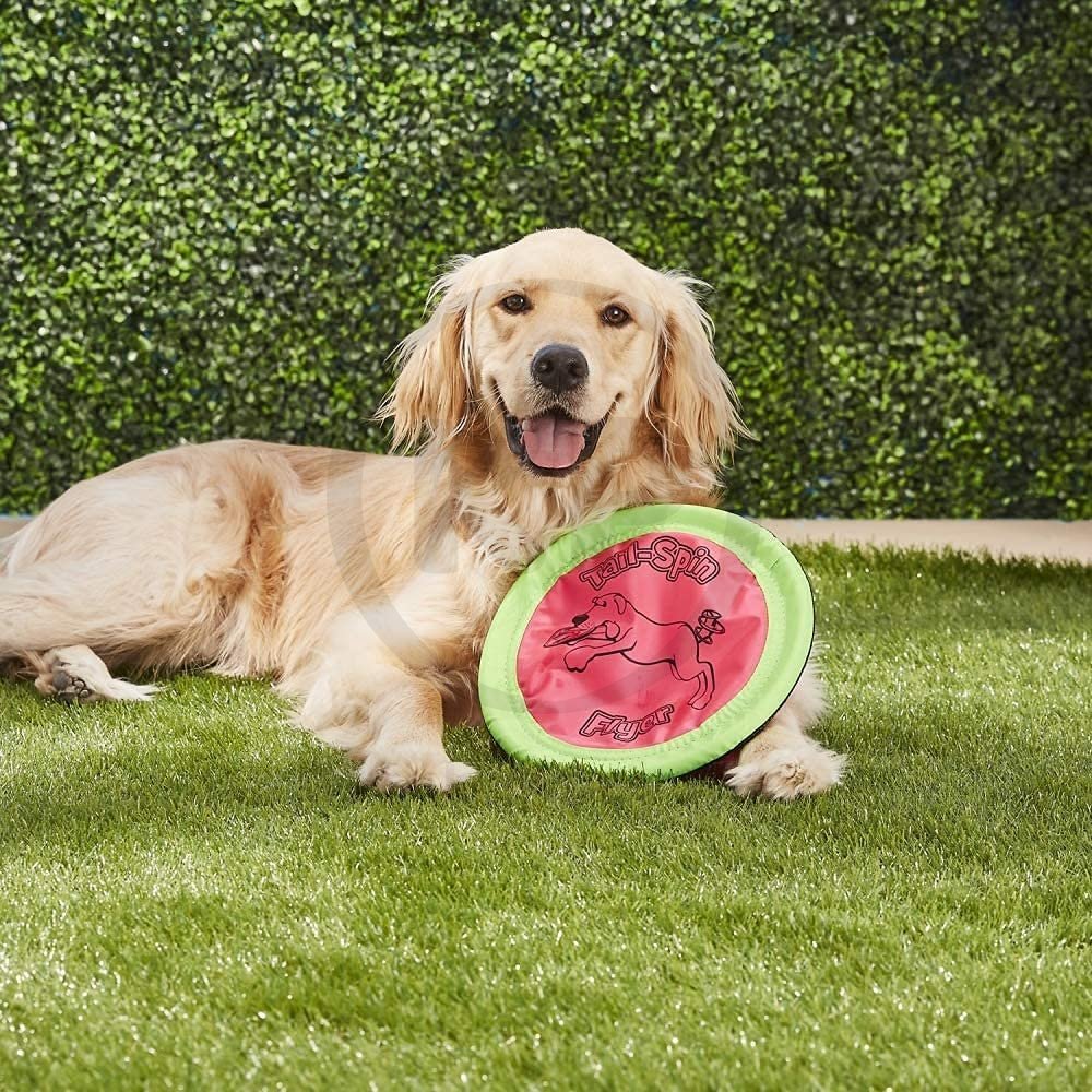 Booda Tail Spin Flyer Dog Toy Multicolor 7-in - Image 4