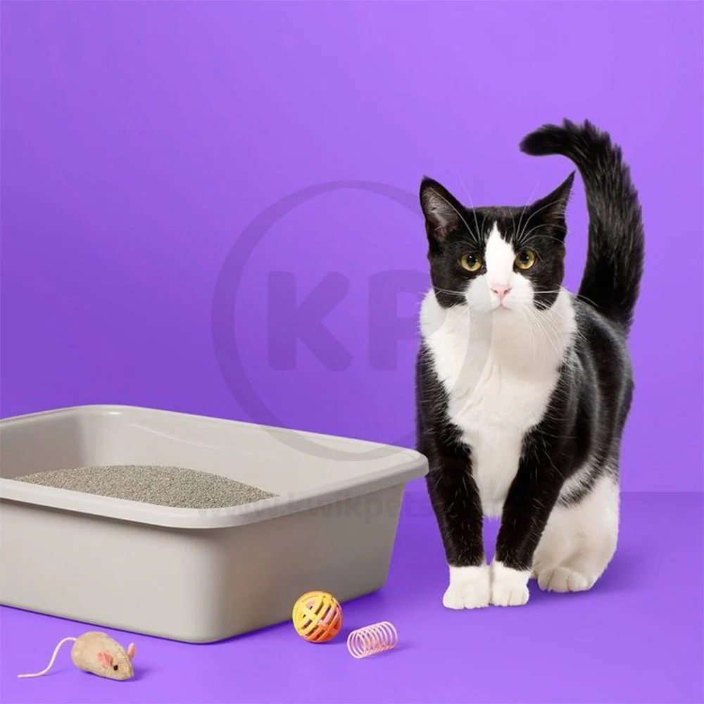 Boxiecat Air Lightweight Extra Strength Premium Clumping Cat Litter 11.5-lb - Image 5