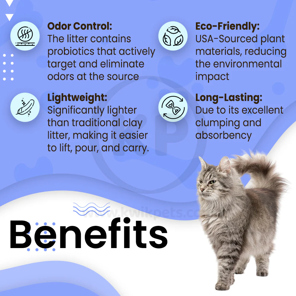 Boxiecat Air Lightweight Scent Free Premium Clumping Cat Litter 6.5-lb - Image 4