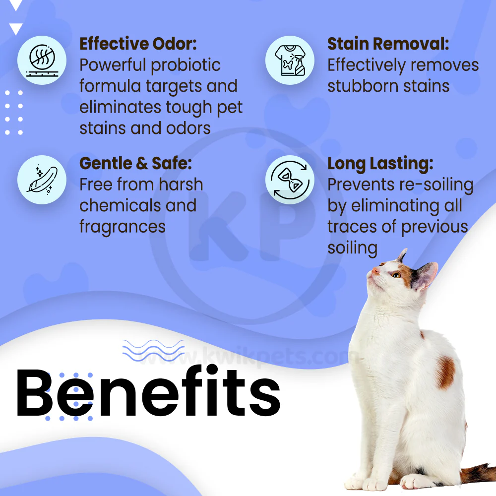Boxiecat Premium Scent-free Stain & Odor Remover 24-oz - Image 4