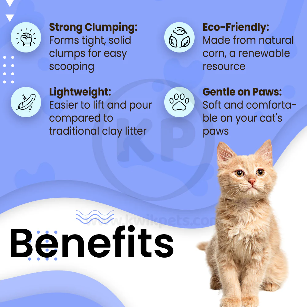Boxiecat Glo Natural Attractions Clumping Corn Cat Litter 6.5-lb - Image 3