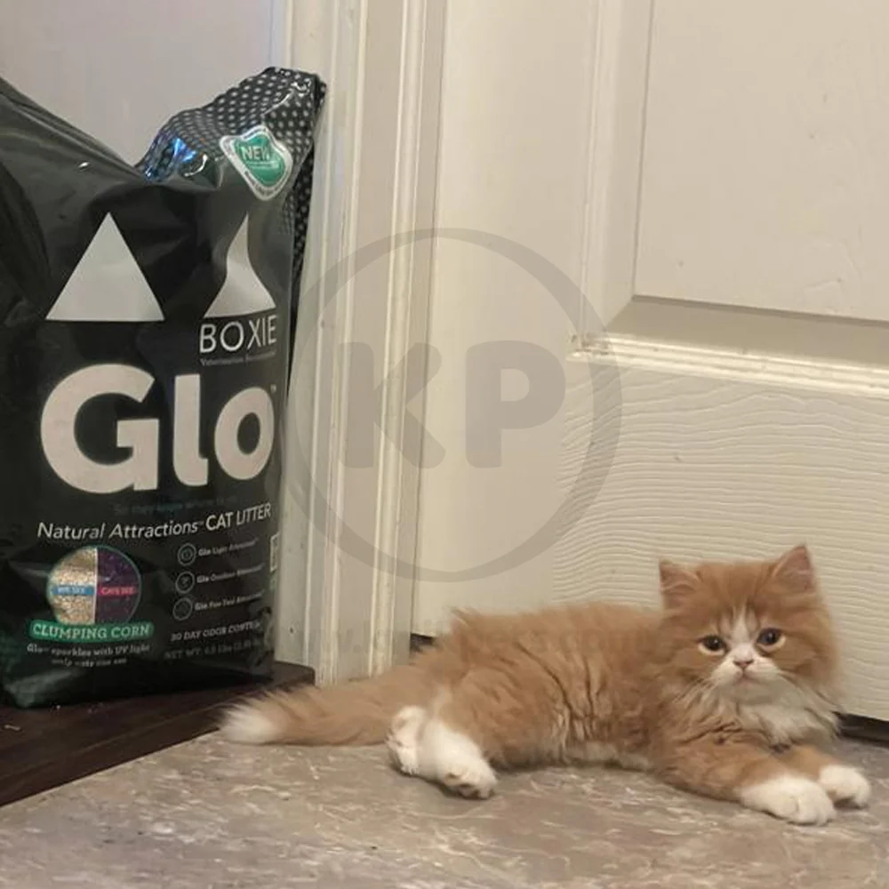 Boxiecat Glo Natural Attractions Clumping Corn Cat Litter 6.5-lb - Image 5