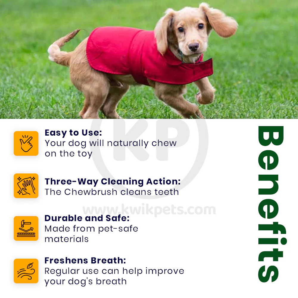 BulbHead Chewbrush Self Brushing Dog Toothbrush - Image 3