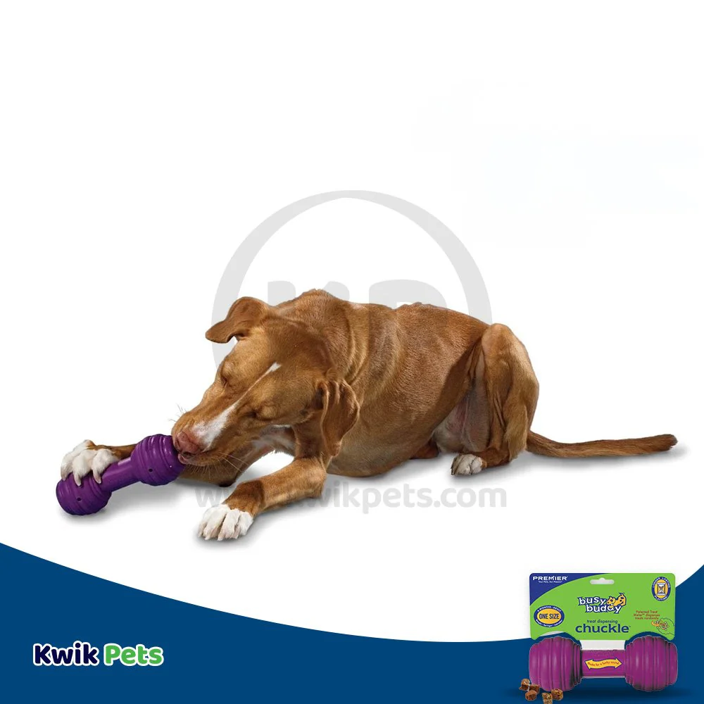 Busy Buddy Treat-Dispensing Chuckle Dog Toy Purple Medium/Large - Image 5