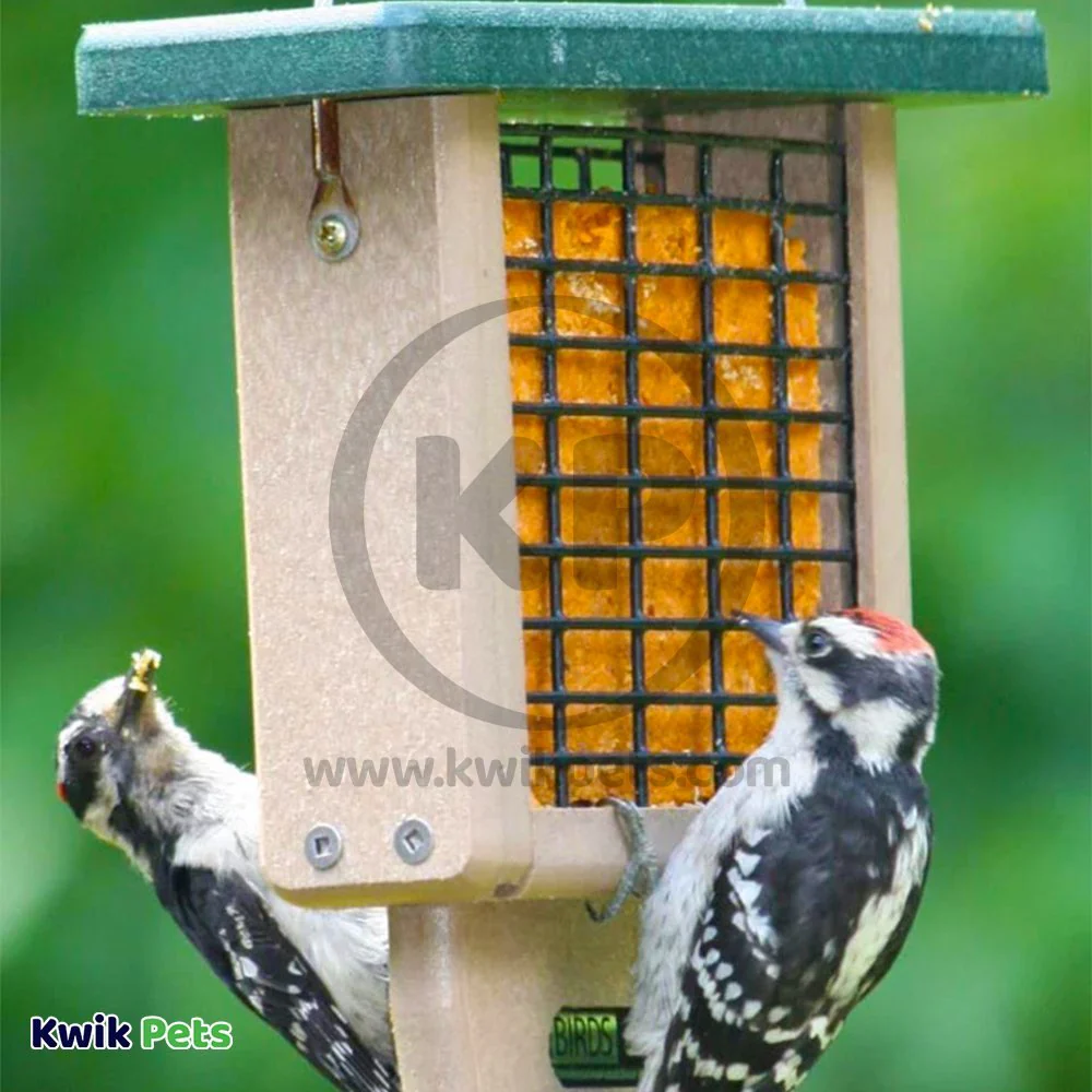 C&S Hot Pepper Delight No Melt Suet Dough for Wild Birds 11.75-oz - Image 8