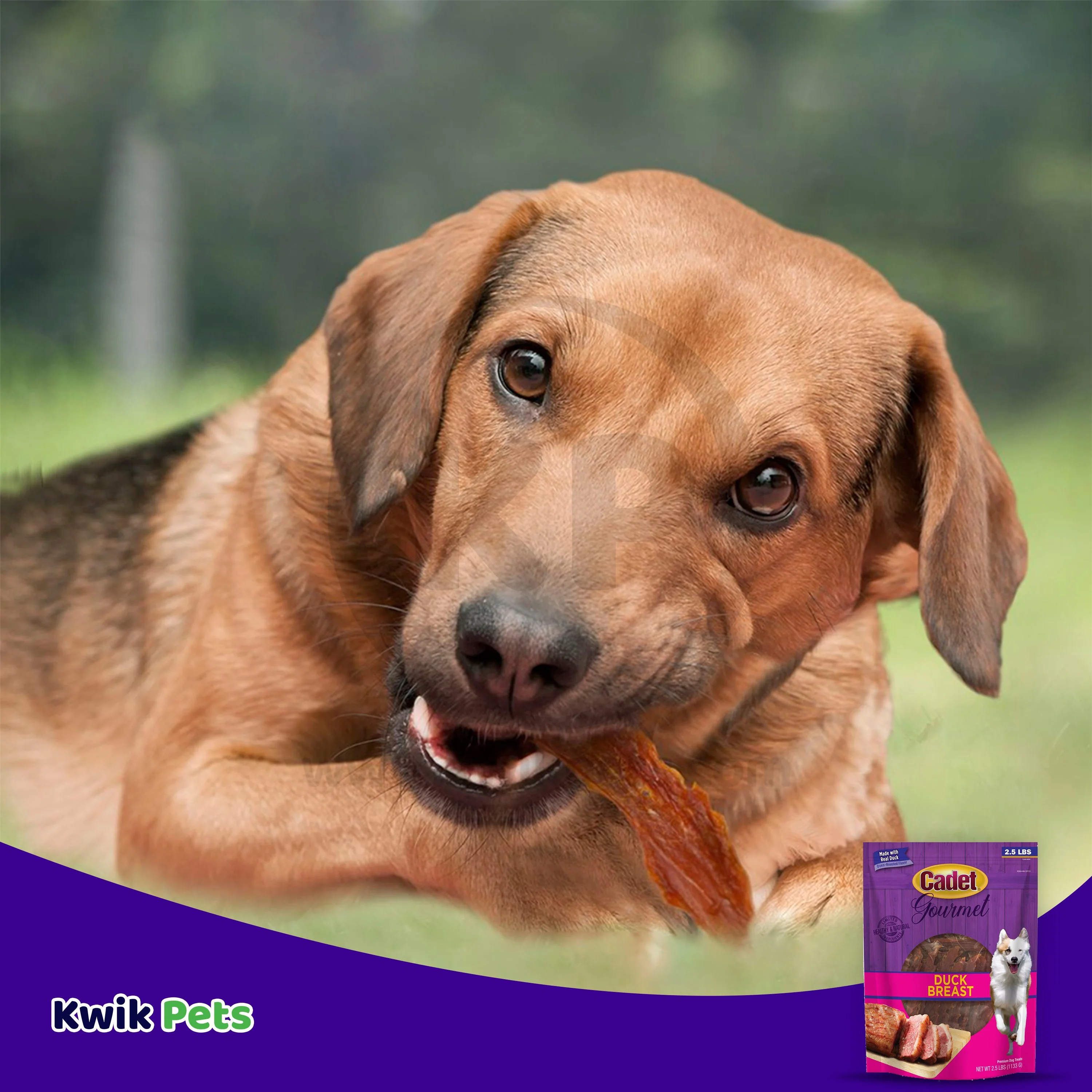 Cadet Gourmet Duck Breast Treats for Dogs 2.5-lb - Image 7