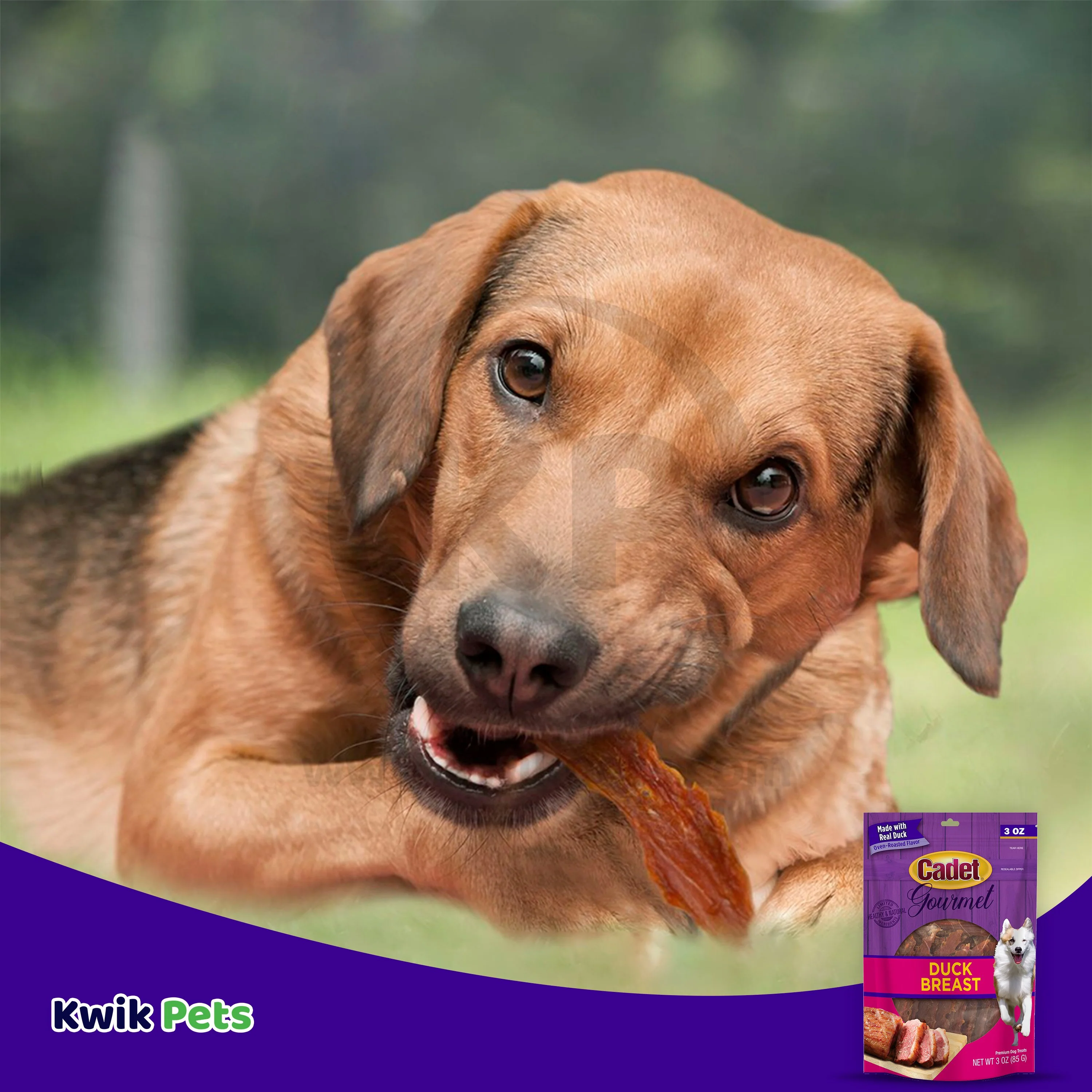 Cadet Gourmet Duck Breast Treats for Dogs 3-oz - Image 7