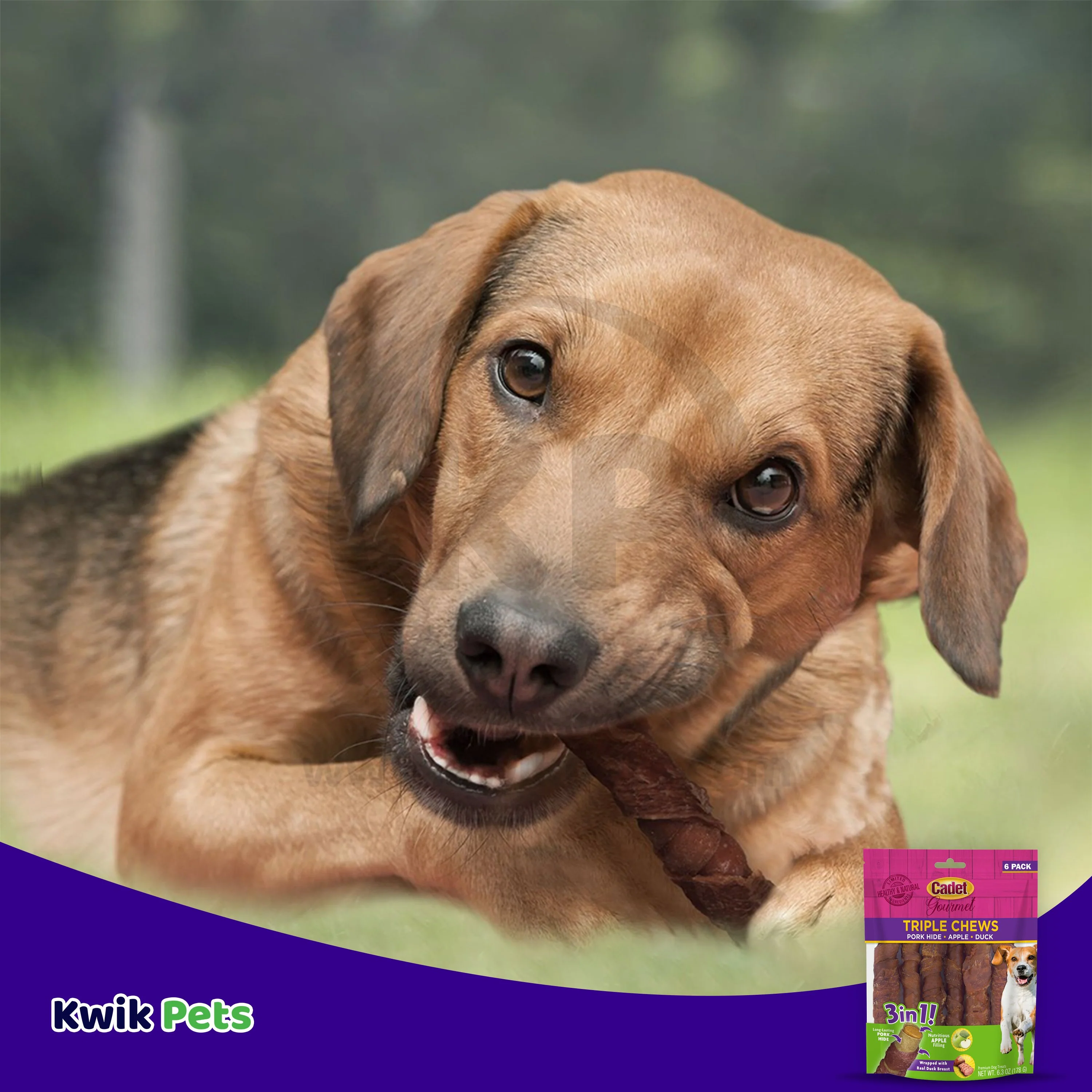 Cadet Gourmet Triple Chews Pork Hide Twists Dog Treat Apple & Duck 6 Count 6.3-oz - Image 6
