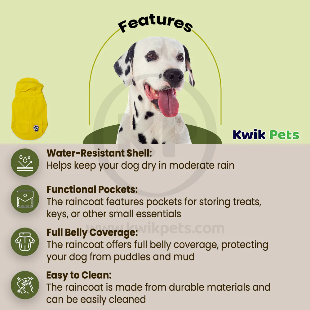 Canada Pooch Dog Torrential Tracker Yellow 16 - Image 3