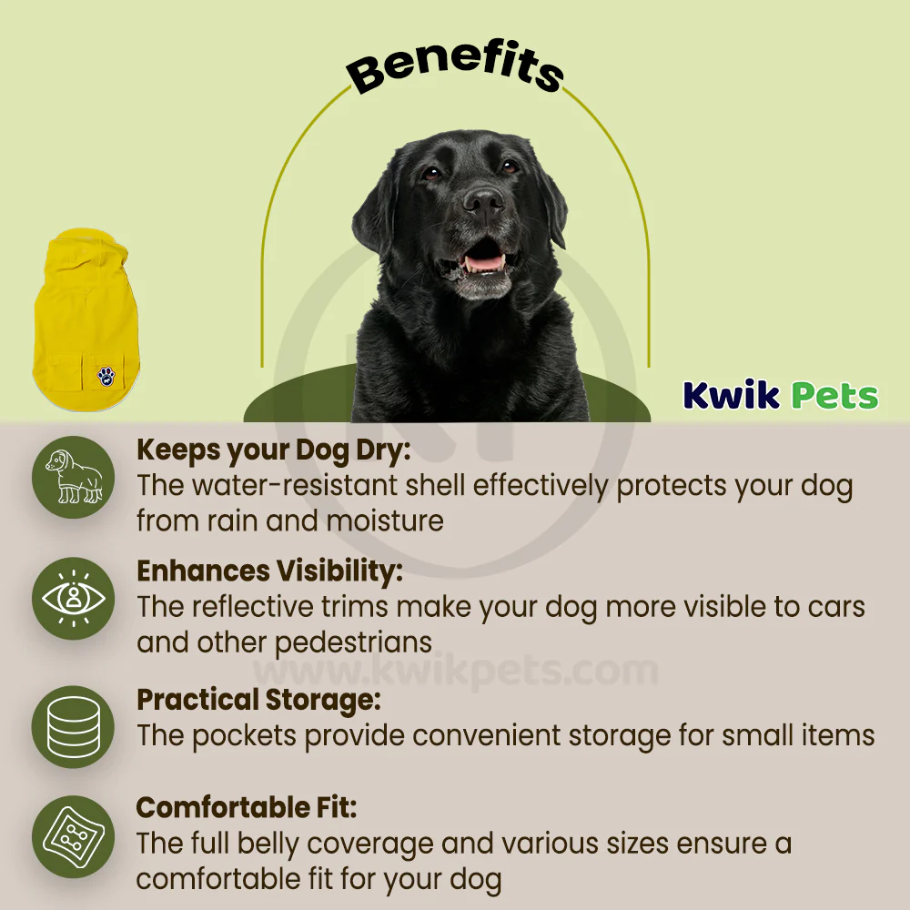 Canada Pooch Dog Torrential Tracker Yellow 16 - Image 4