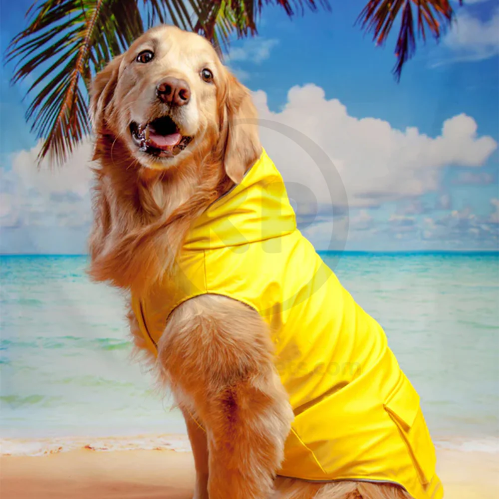 Canada Pooch Dog Torrential Tracker Yellow 16 - Image 5