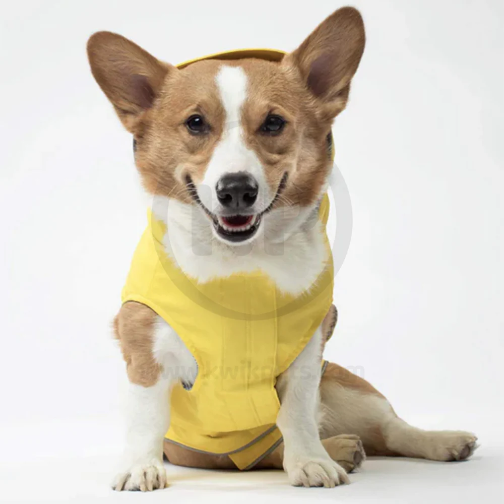 Canada Pooch Dog Torrential Tracker Yellow 16 - Image 6