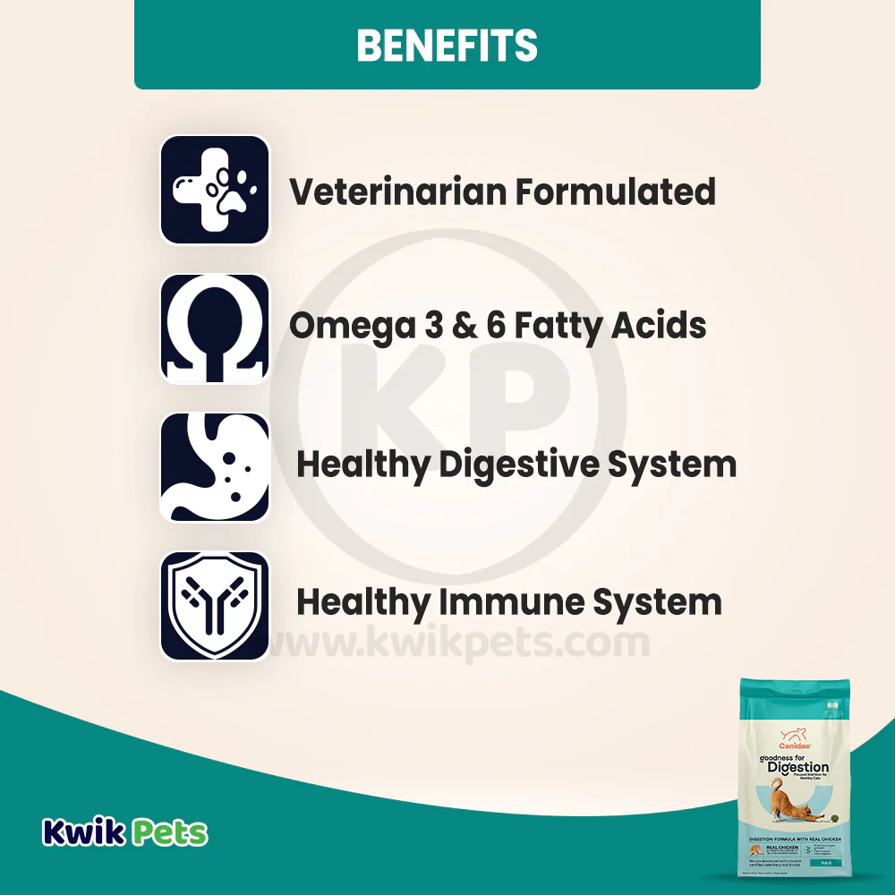 CANIDAE PURE Goodness for Digestion Adult Dry Cat Food Real Chicken 10-lb - Image 4