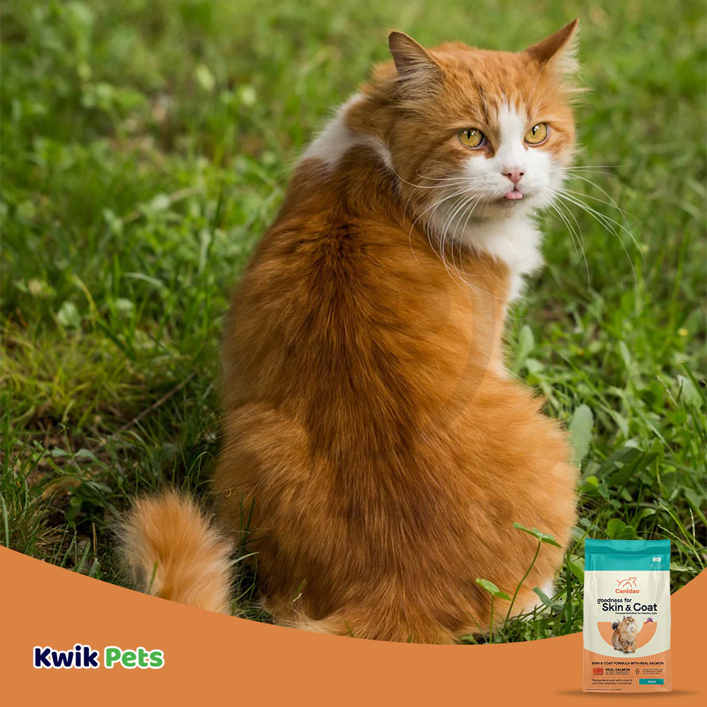 CANIDAE PURE Goodness for Skin & Coat Adult Dry Cat Food Salmon 10-lb - Image 7