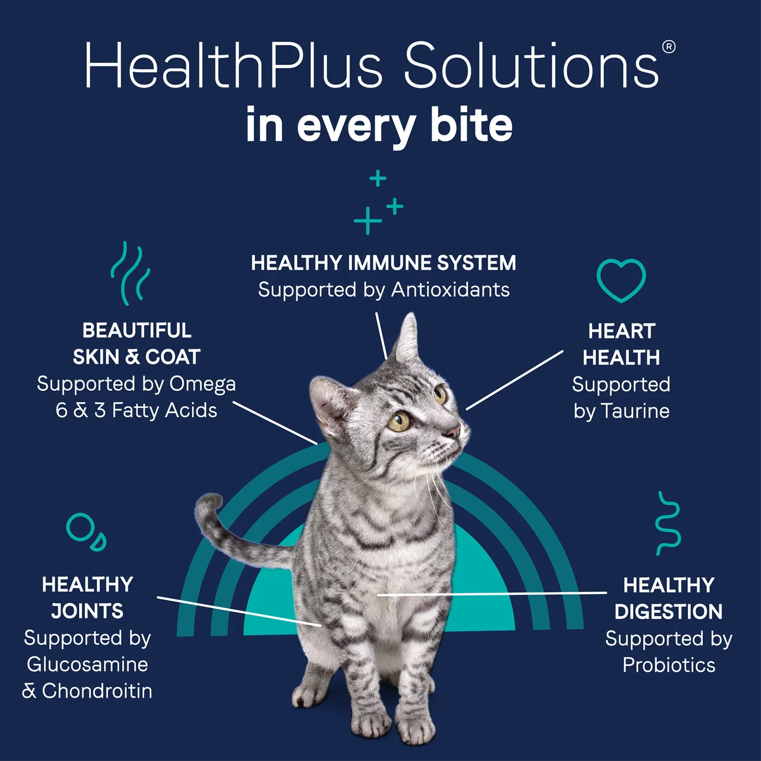 CANIDAE Pure Grain-Free Limited Ingredient Dry Cat Food Premium Recipe with Chicken 5-lb - Image 6