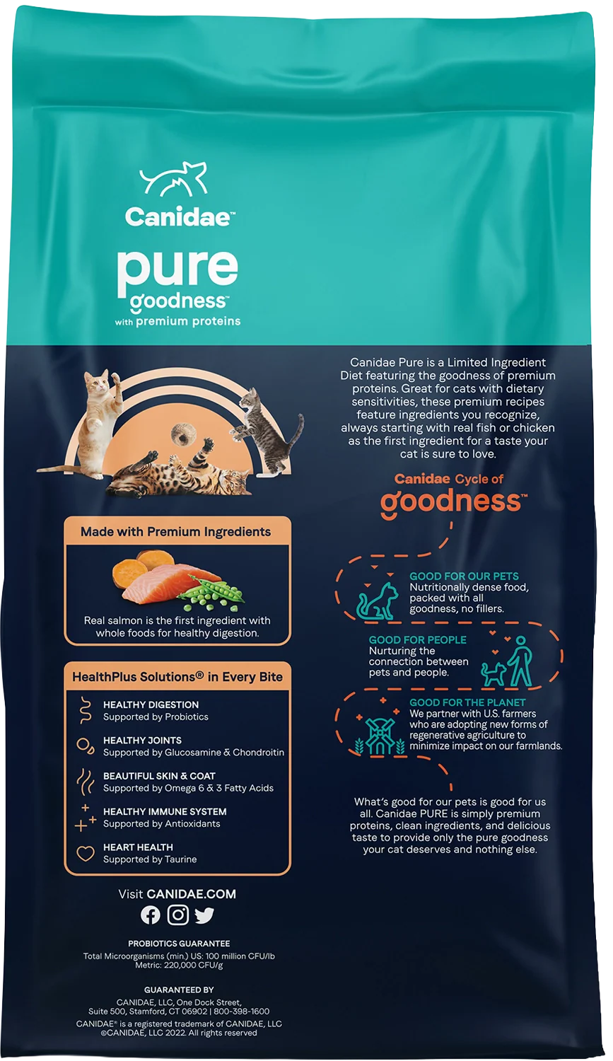 CANIDAE Pure Grain-Free Limited Ingredient Dry Cat Food Premium Recipe with Salmon 5-lb - Image 2