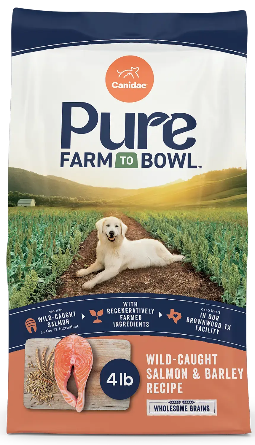 Canidae Pure Goodness Wholesome Grains Adult Dry Dog Food Real Salmon & Barley Recipe 4-lb