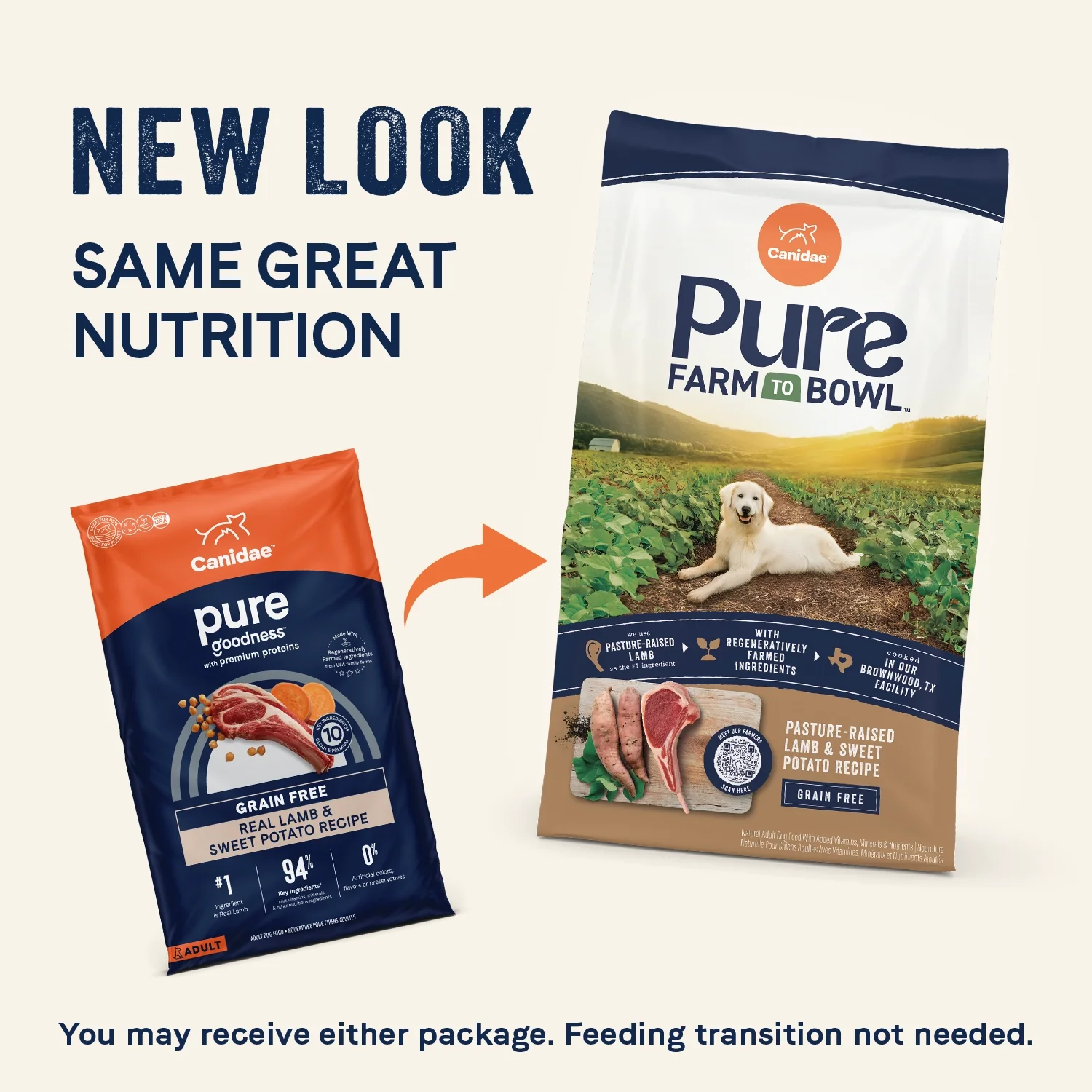 CANIDAE PURE Goodness Grain-Free Adult Dry Dog Food Real Lamb & Sweet Potato 22-lb - Image 3