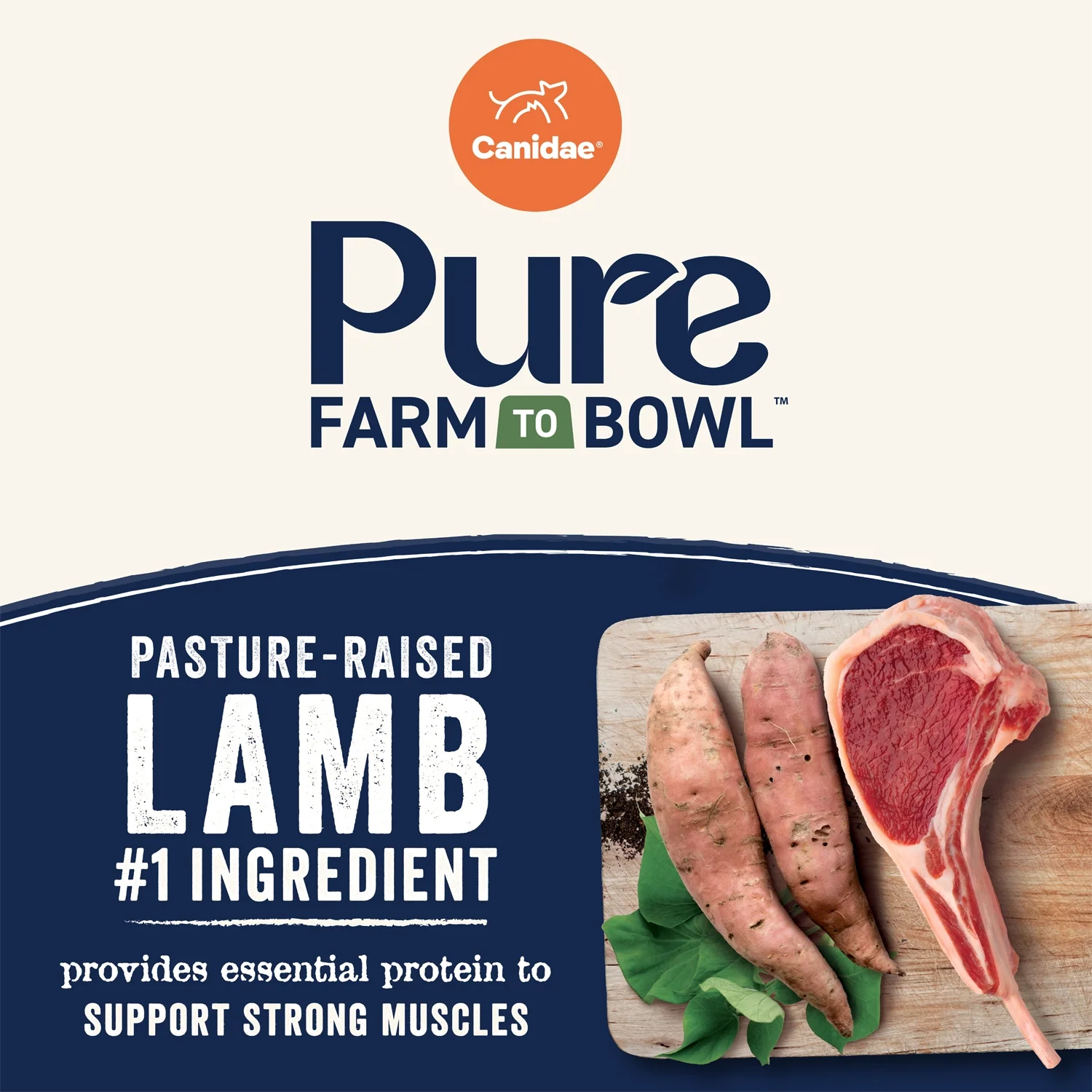 CANIDAE PURE Goodness Grain-Free Adult Dry Dog Food Real Lamb & Sweet Potato 22-lb - Image 8