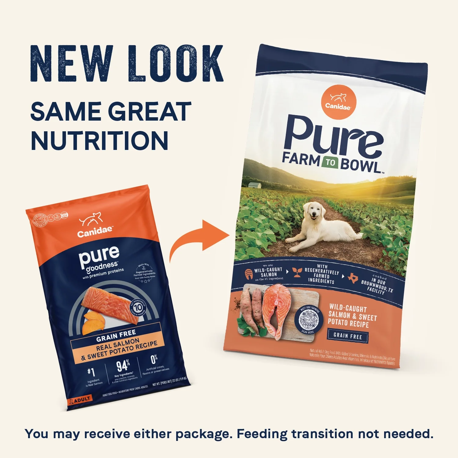 CANIDAE PURE Goodness Grain-Free Adult Dry Dog Food Real Salmon & Sweet Potato 4-lb - Image 3
