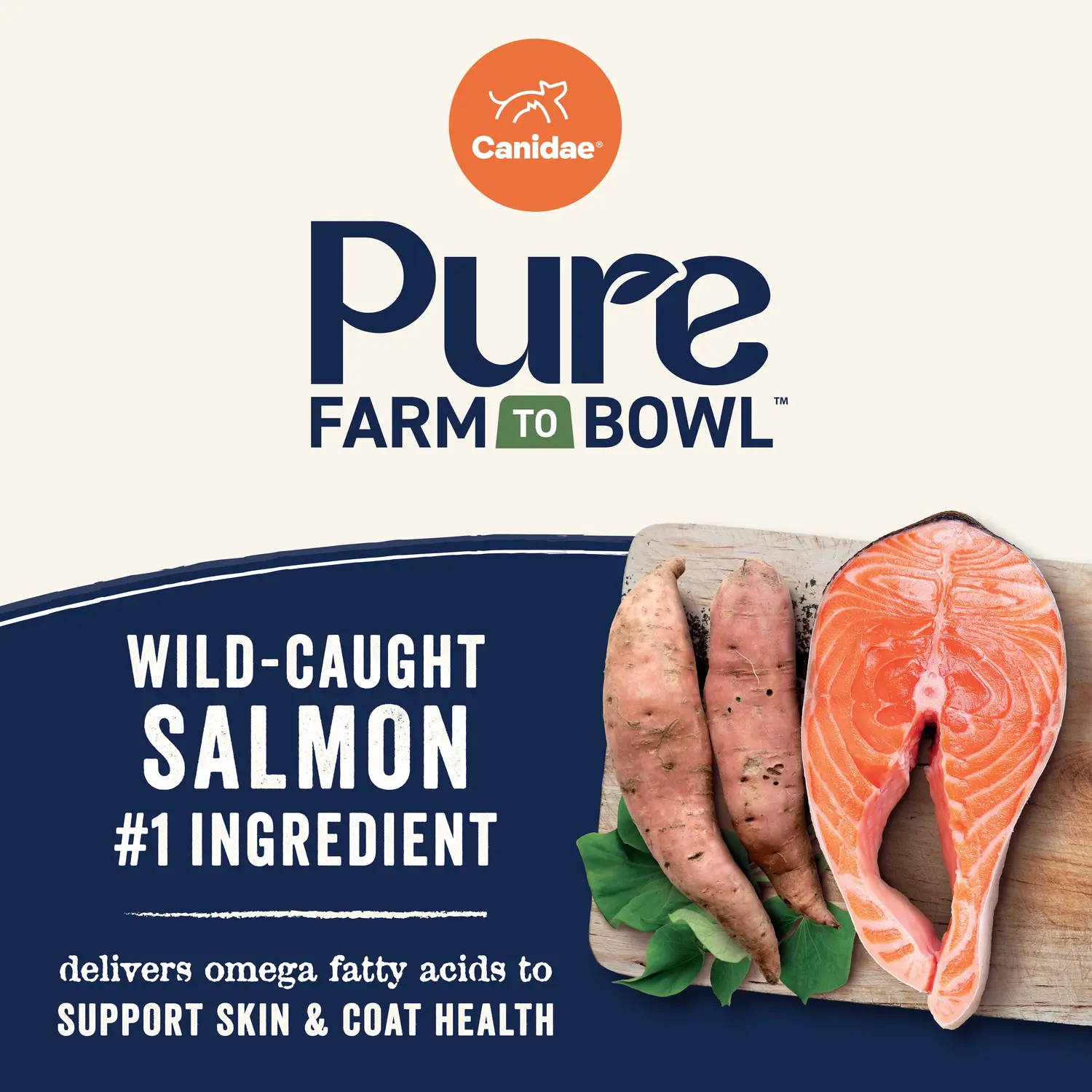 CANIDAE PURE Goodness Grain-Free Adult Dry Dog Food Real Salmon & Sweet Potato 4-lb - Image 8