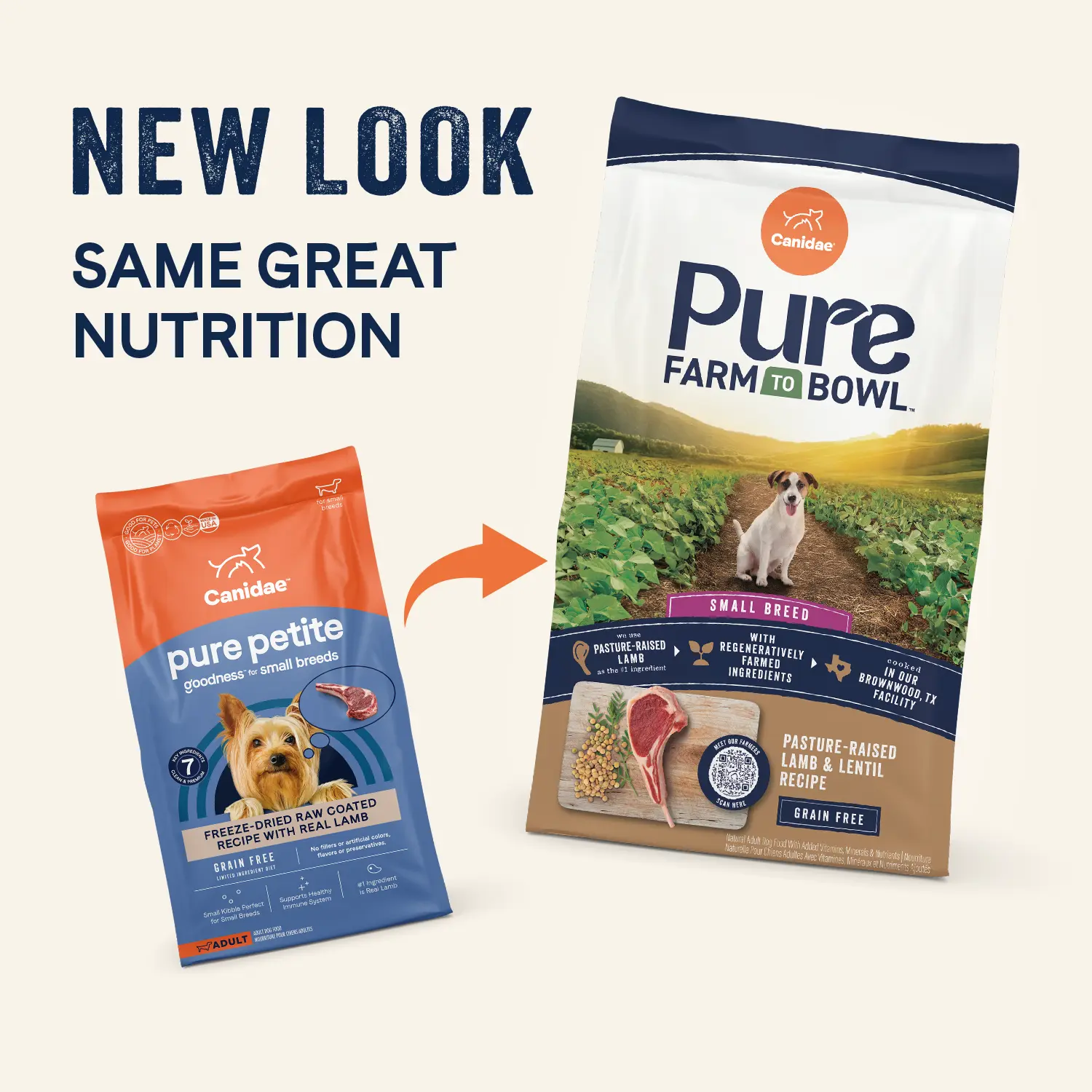 CANIDAE PURE Petite Goodness for Small Breed Freeze-Dried Raw Coated Adult Dry Dog Food Lamb 4-lb - Image 2