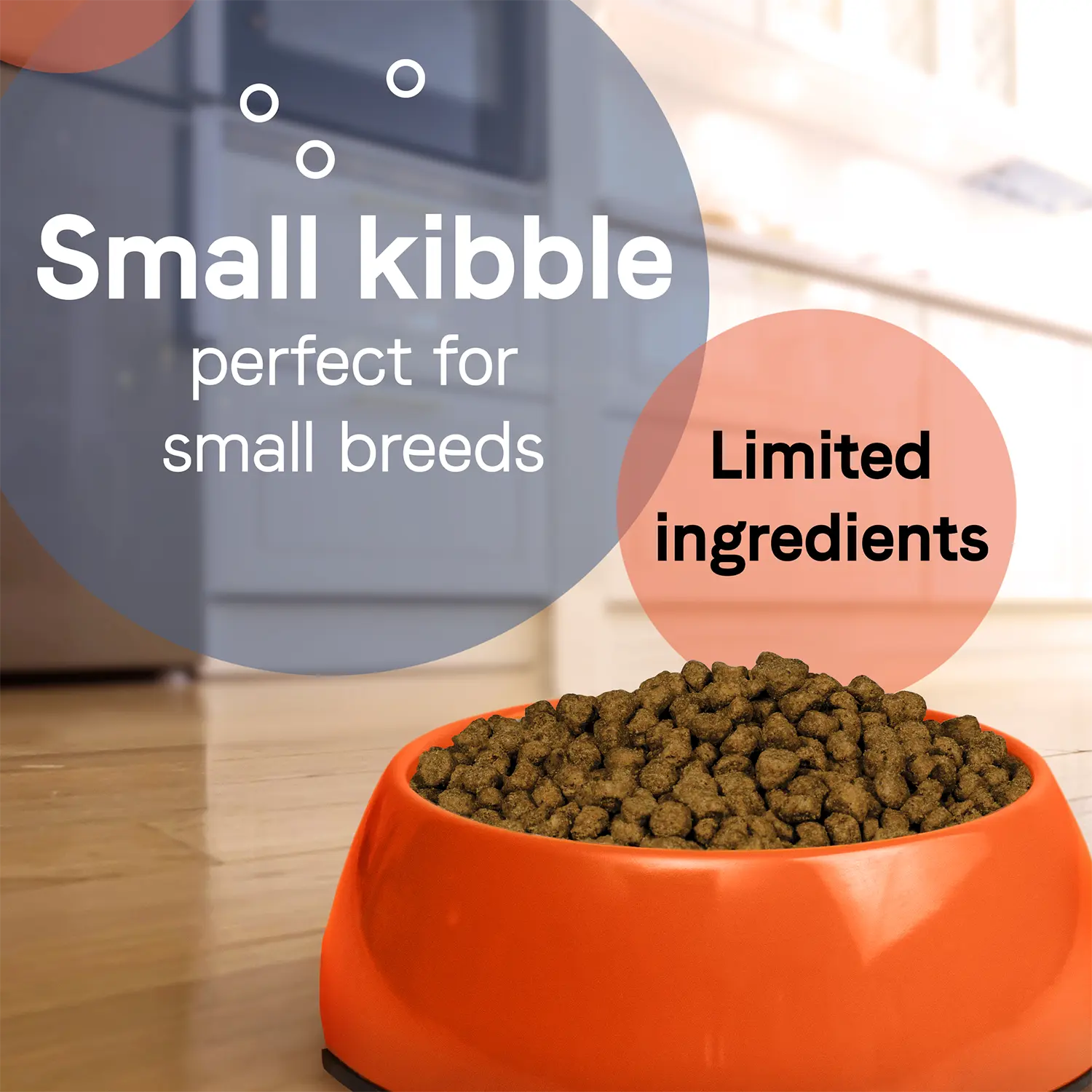 CANIDAE PURE Petite Goodness for Small Breed Freeze-Dried Raw Coated Adult Dry Dog Food Lamb 4-lb - Image 4