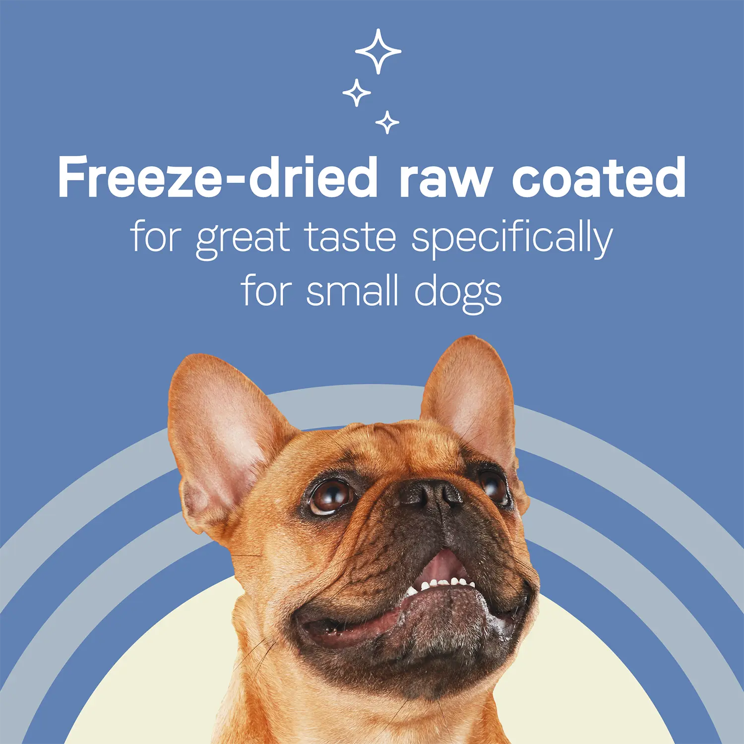 CANIDAE PURE Petite Goodness for Small Breed Freeze-Dried Raw Coated Adult Dry Dog Food Salmon 4-lb - Image 3