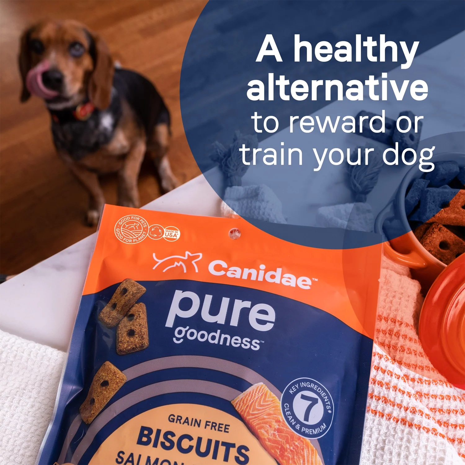 CANIDAE PURE Goodness Grain-Free Biscuit Dog Treats Duck & Chickpea 11-oz - Image 7