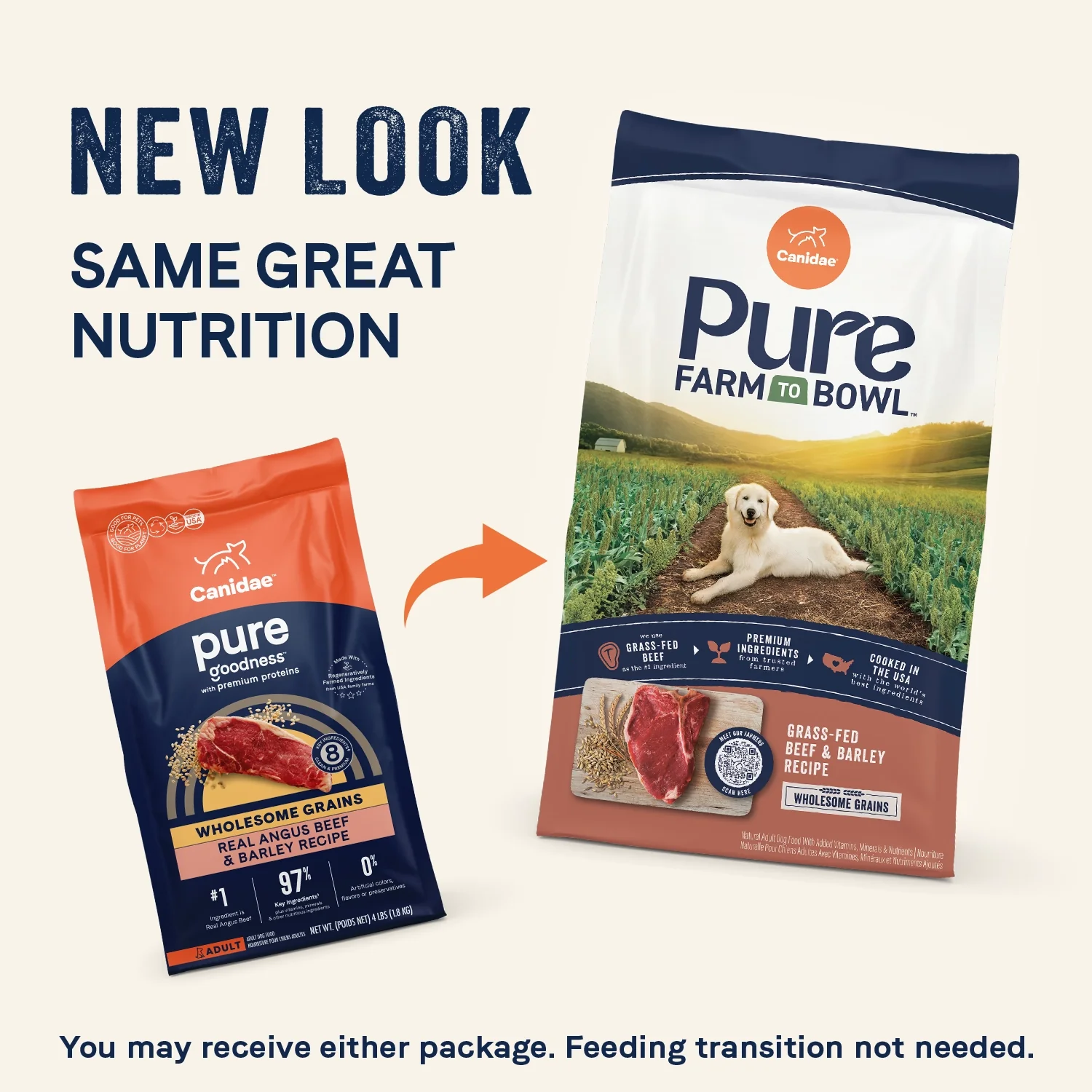 CANIDAE PURE Goodness Wholesome Grains Adult Dry Dog Food Real Angus Beef & Barley 22-lb - Image 3