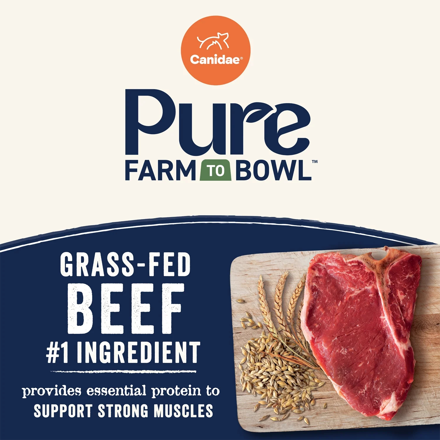 CANIDAE PURE Goodness Wholesome Grains Adult Dry Dog Food Real Angus Beef & Barley 22-lb - Image 8