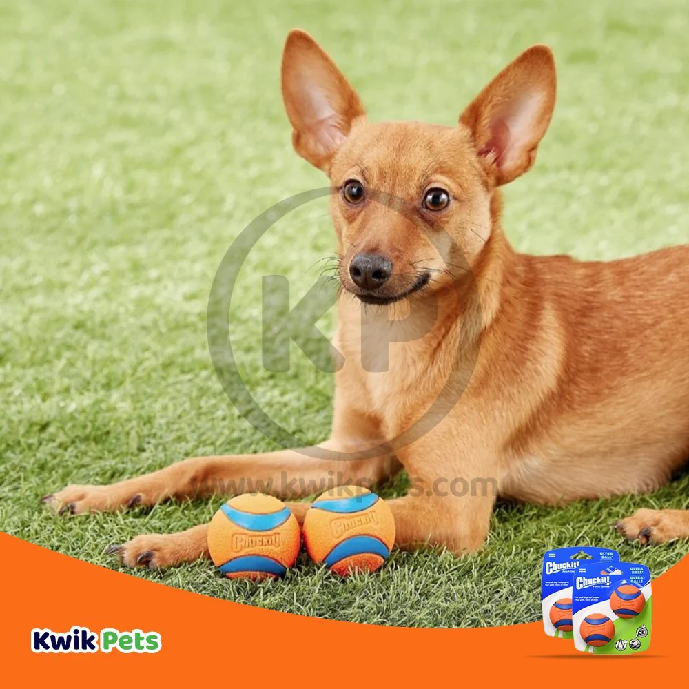 Chuckit! Ultra Ball Dog Toy Blue/Orange Small 2 Pack of 2 Count - Image 5