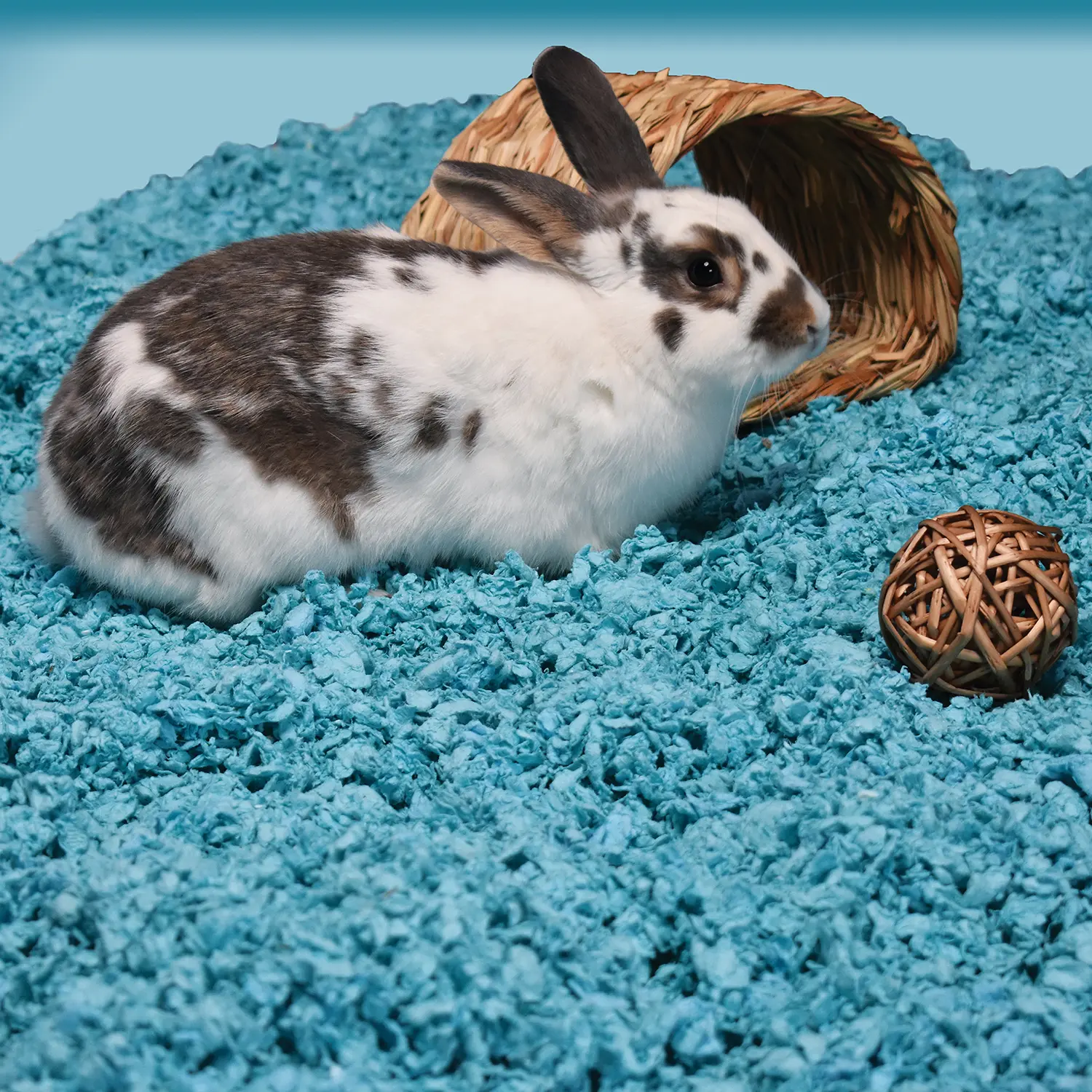 Carefresh Complete Comfort Blue Paper Bedding for Small Animals 23 Liters - Image 7