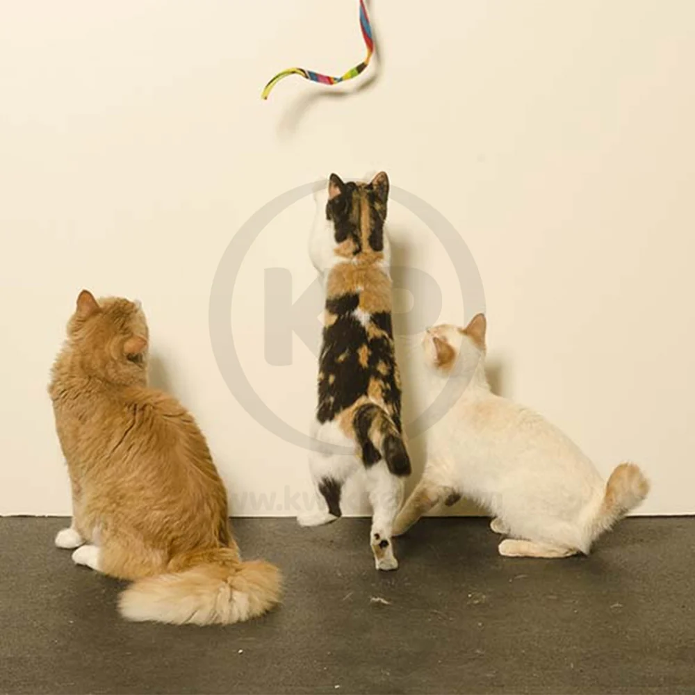 Cat Dancer Products Charmer Cat Toy Multicolor One Size - Image 5