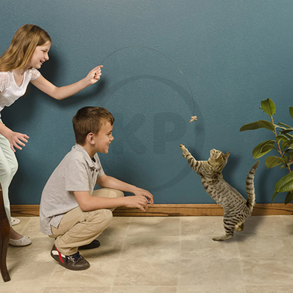Cat Dancer Products Interactive Cat Toy Brown One Size - Image 5