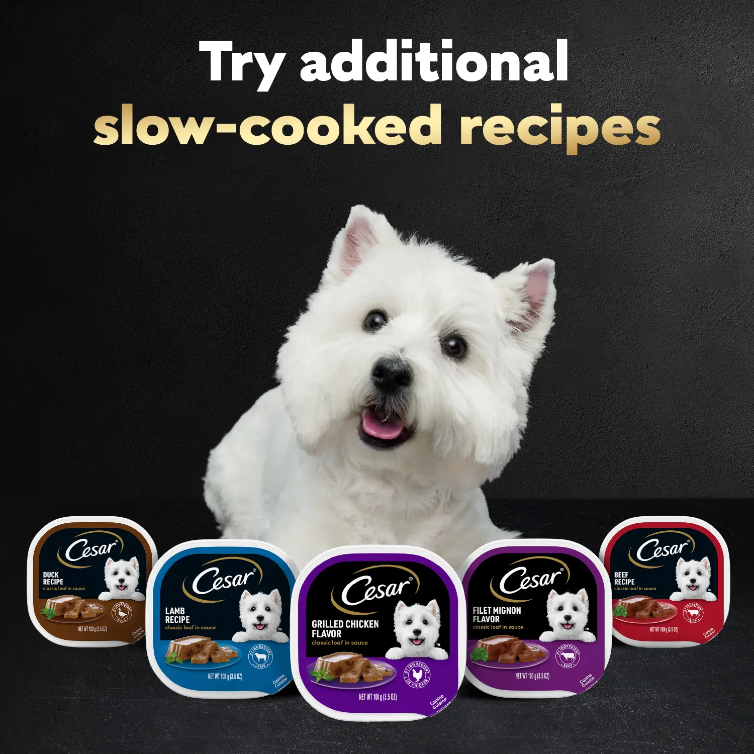 Cesar Classic Loaf in Sauce Adult Wet Dog Food Beef 3.5-oz 24 Count - Image 10