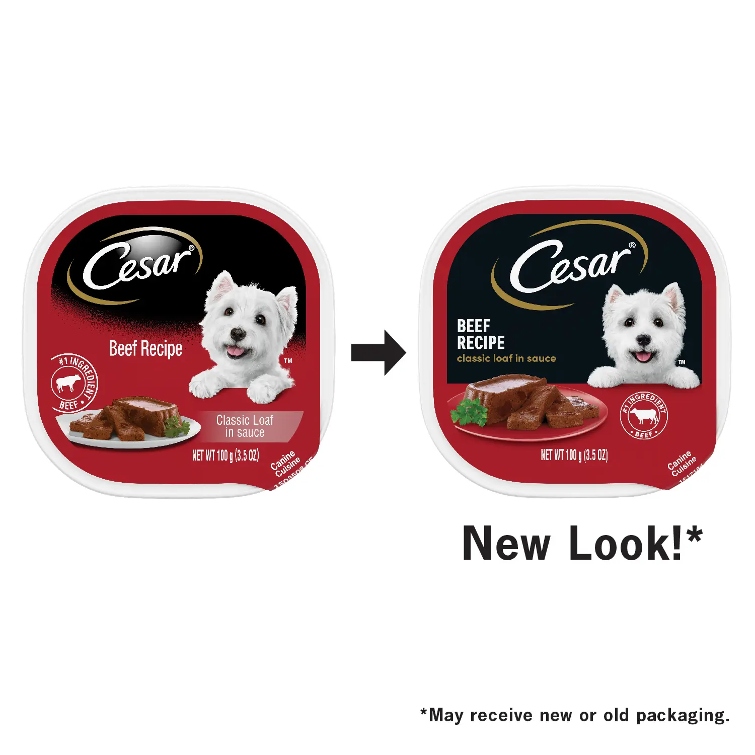 Cesar Classic Loaf in Sauce Adult Wet Dog Food Beef 3.5-oz 24 Count - Image 3